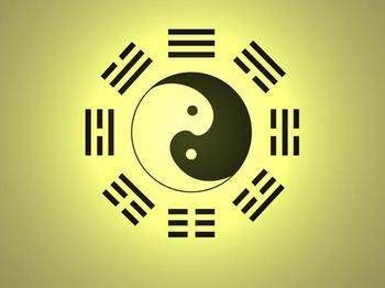 亮亮经典卡牌 店铺LOGO