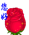 欢 乐 宝 贝