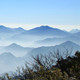 山核桃庄园