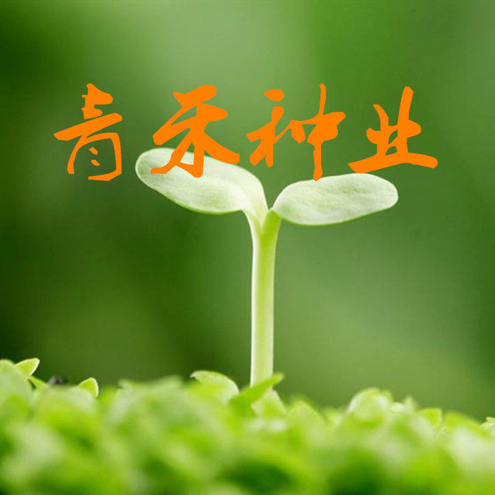 青禾种业