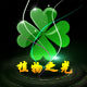植物之光 店铺LOGO