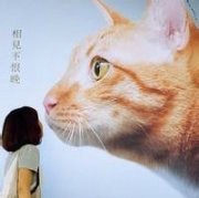 东盛石油设备厂
