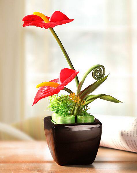 江枫园花卉园艺