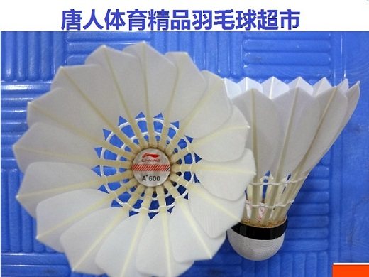 二手羽毛球之家