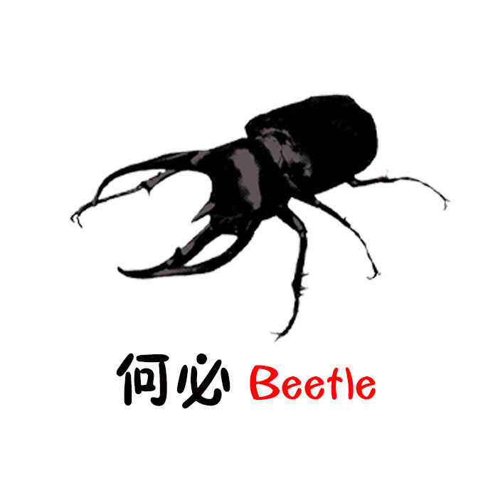 何必虫虫