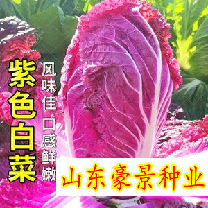 豪景种业农资销售中心
