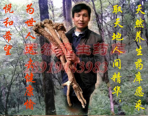 天然养生药库     旋极养生药材店