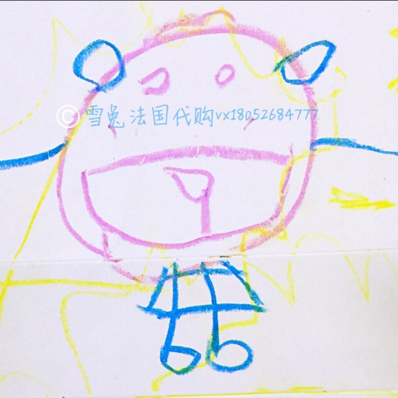 雪兔代购
