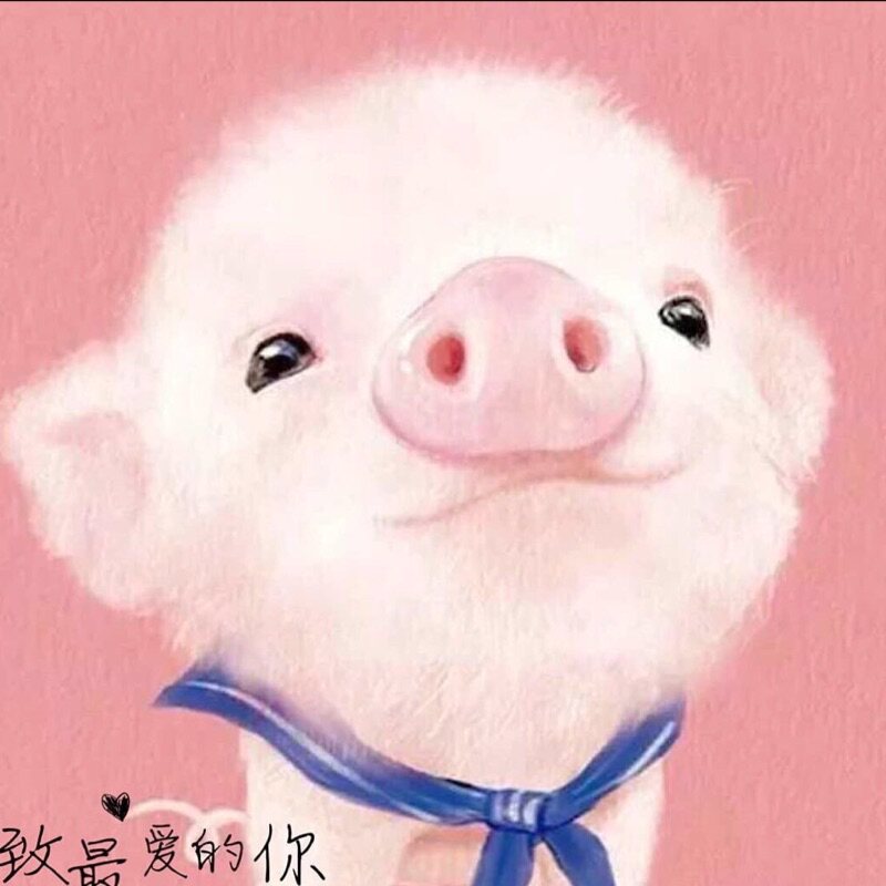 上海亚明灯具换气扇批发