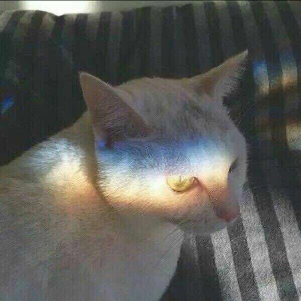 吴大笑