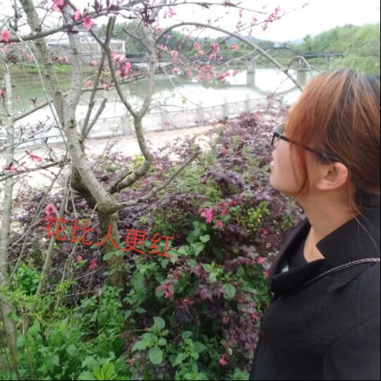 八弯山里货
