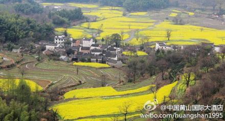 黄山颜公河农家