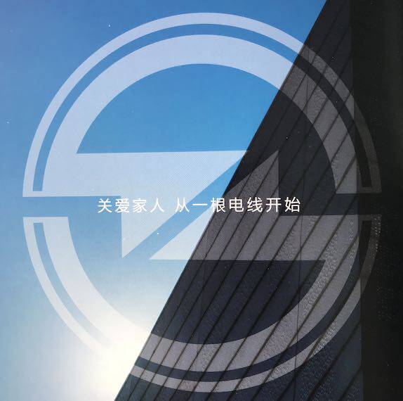 中大元通线缆企业店