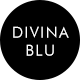 divinablu旗舰店