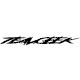 TEAMGEEK