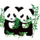 对对熊竹业 店铺LOGO