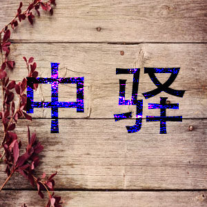 中驿