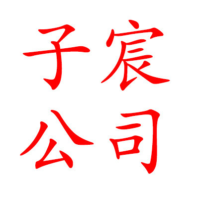 子宸公司