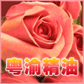 粤渝精油批发
