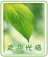 永辉健康护理