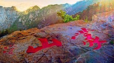 蒙山黑猪肠衣企业店
