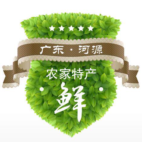黄小二农家干货店 店铺LOGO