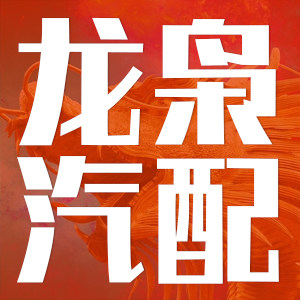 龙枭汽车配件店