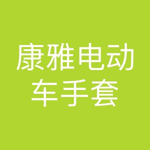 康雅电动车用品