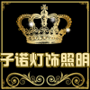 子诺灯饰照明