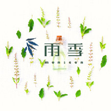 Monsoon 雨季