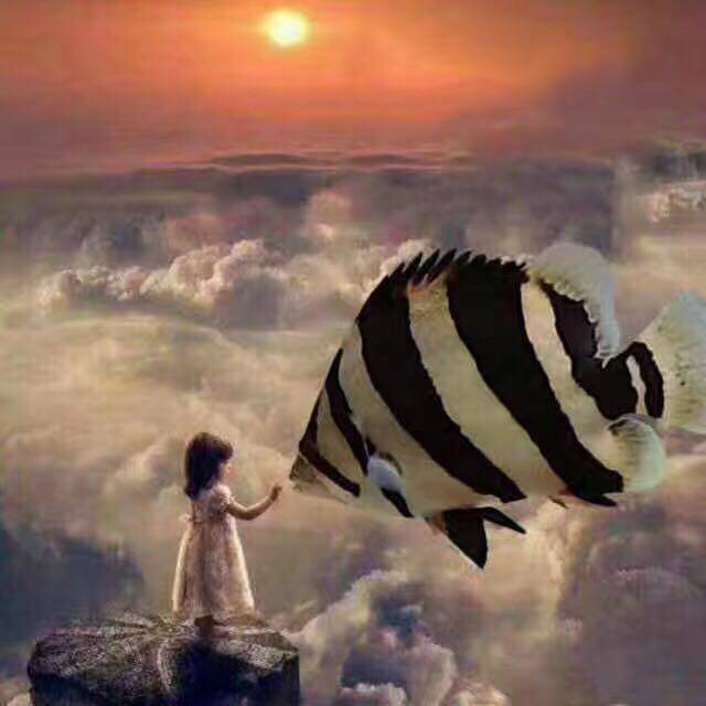 虎哥鱼友之家水族