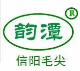 韵潭信阳毛尖