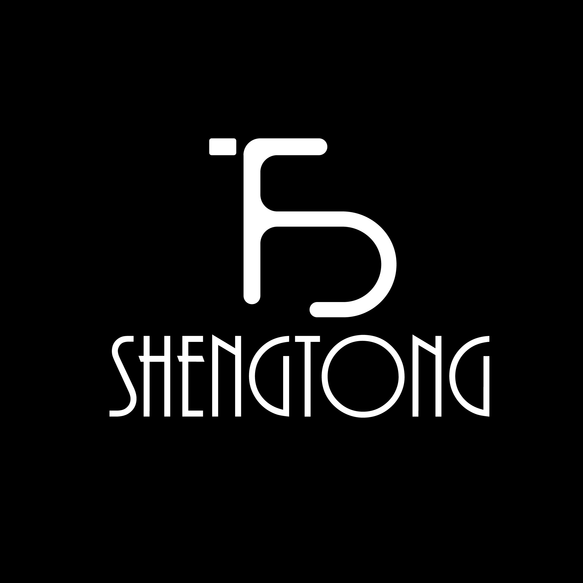 盛通旗舰店 店铺LOGO