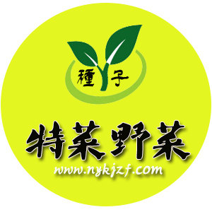 新奇特种子店