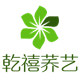 乾禧荞艺企业官方店