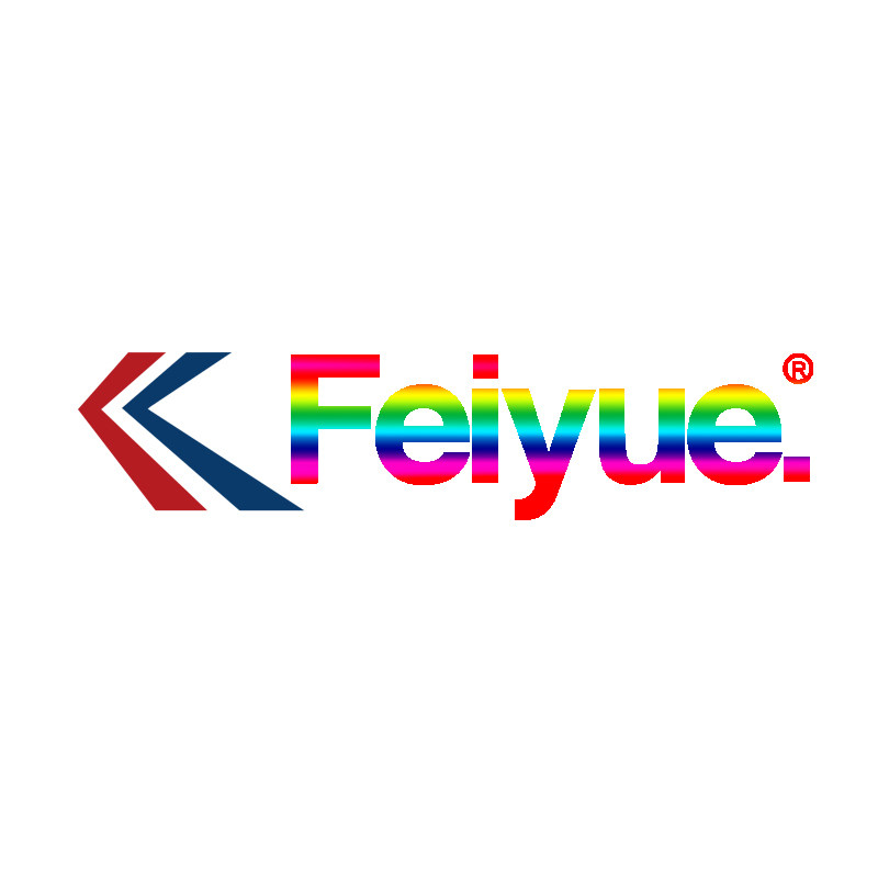 飞跃feiyue官方鞋靴店
