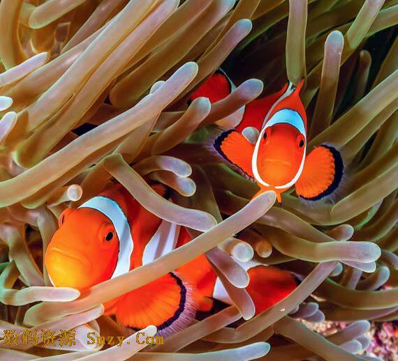 博海水族店