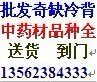 中医中药养生健康