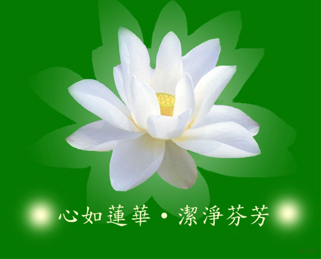全息精品