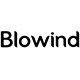 blowind旗舰店 店铺LOGO