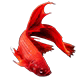 梦幻七彩水族馆