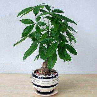 鸿福缘居家用品