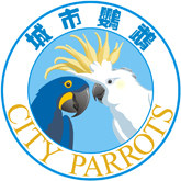 城市鹦鹉