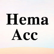 Hema Acc 饰品配饰发饰