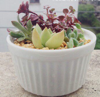 阳光陶瓷生活馆