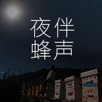 夜伴蜂声旗舰店