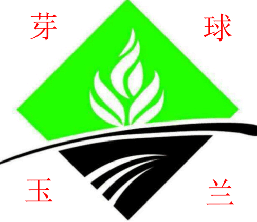 芽球玉兰菜直供店