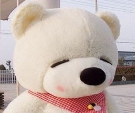 金鼎大杂烩