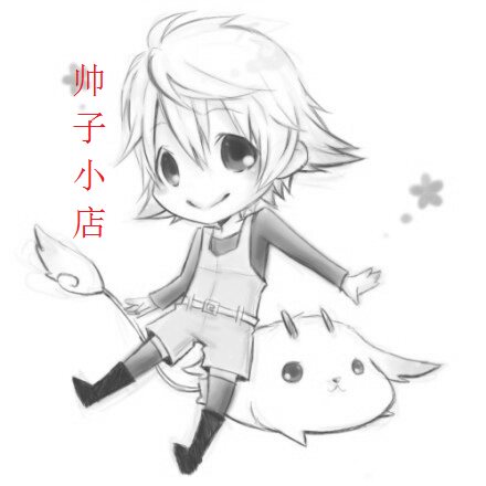 小小帅帅汽车用品 店铺LOGO