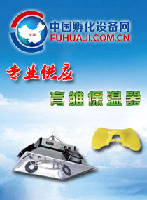 志诚孵化机 店铺LOGO